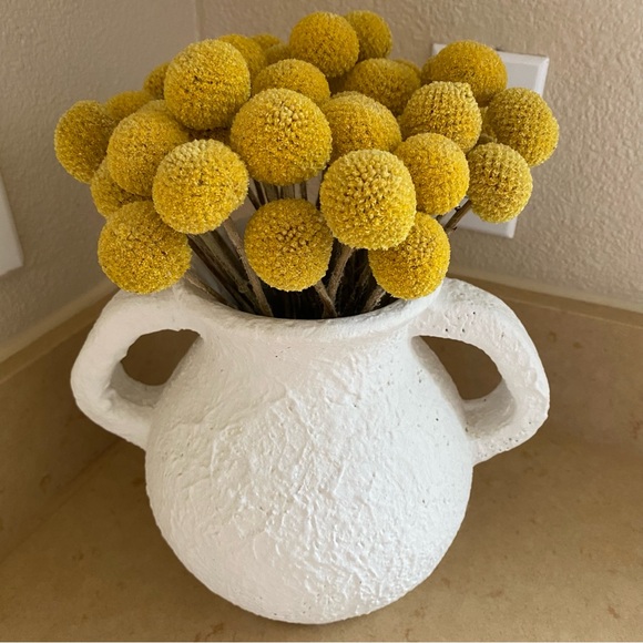 10 STEMS Dried Flowers Craspedia Billy Balls - Picture 7 of 11